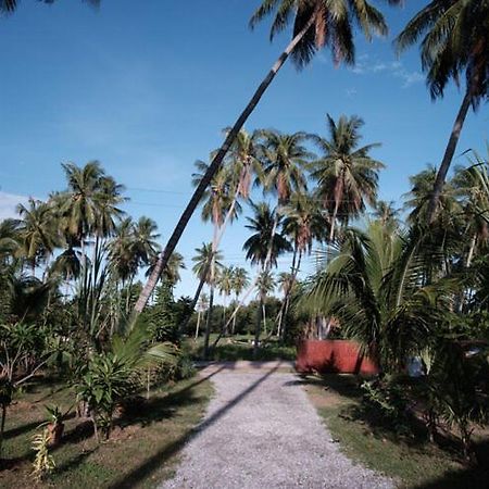 Coconut Tree Homestay Ban Wa Thon Exteriér fotografie