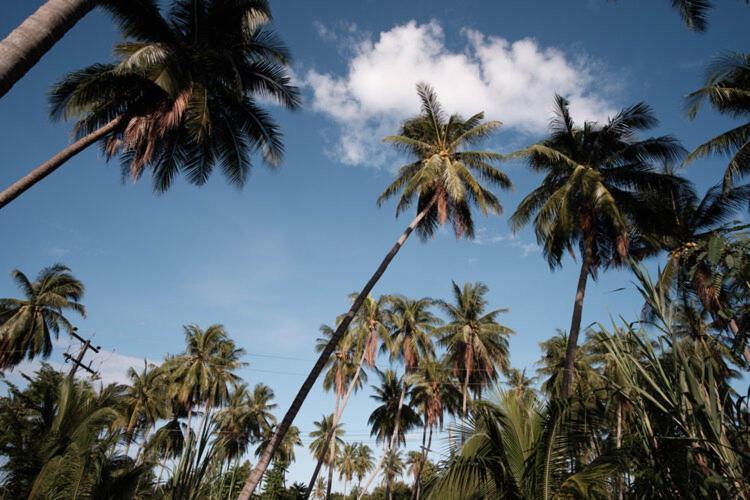 Coconut Tree Homestay Ban Wa Thon Exteriér fotografie
